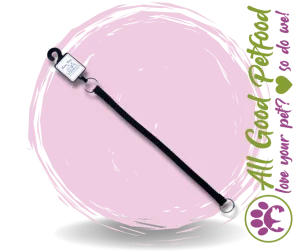 Beau Pet Nylon Slip Lead - 20mm x 150cm Black