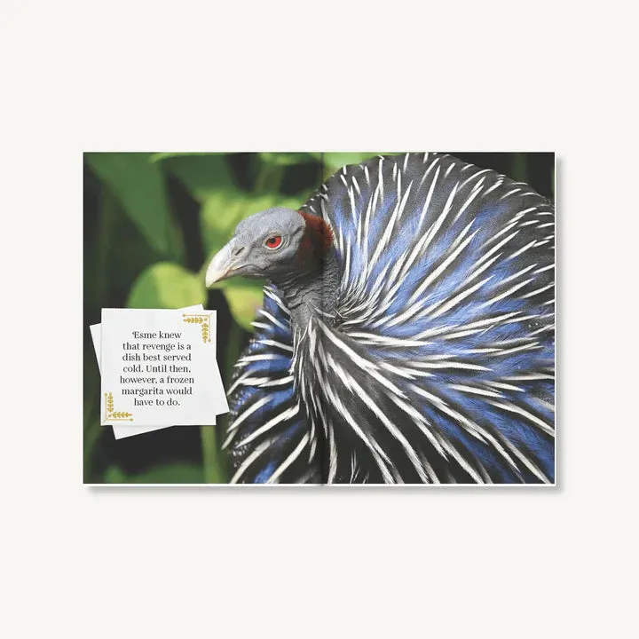 Feathered & Fabulous | Wit and Wisdom from Glamorous Birds