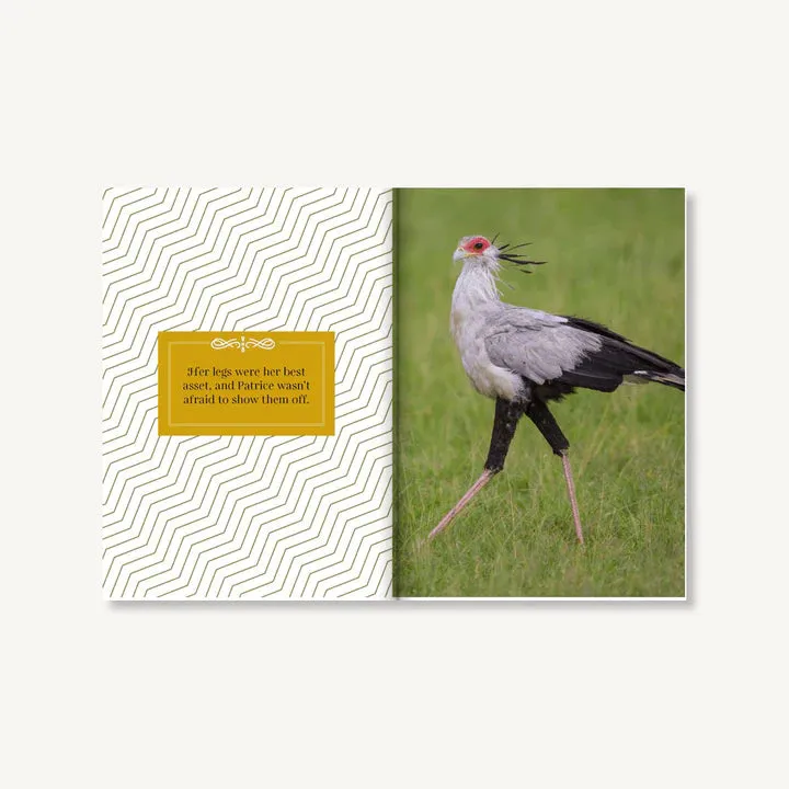 Feathered & Fabulous | Wit and Wisdom from Glamorous Birds