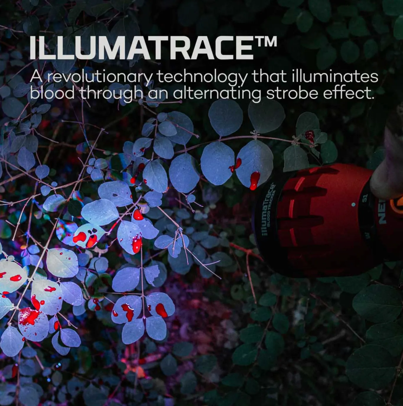 Illumatrace LED Handheld Flashlight