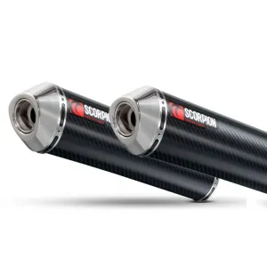Kawasaki Z1000 07-09 Oval Slip-on Pair Carbon (EKA79CEO)