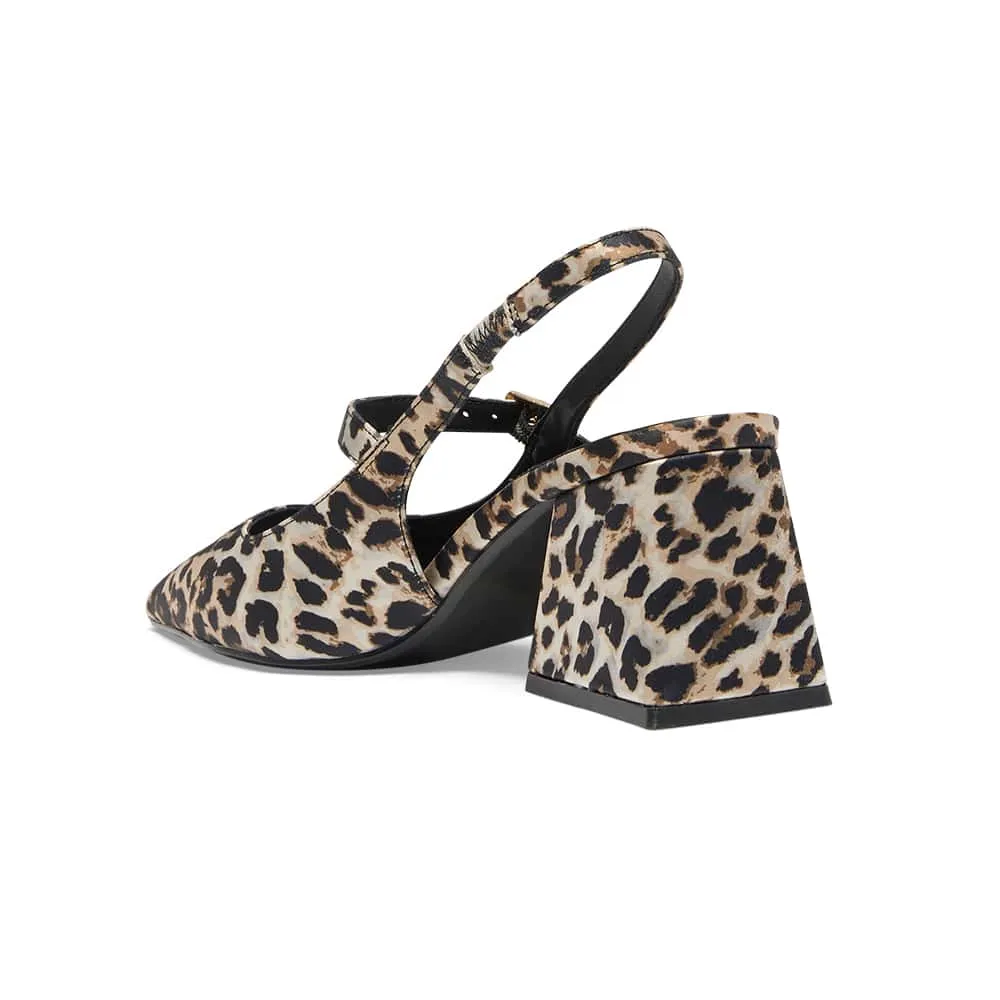 Loyal Heel in Animal
