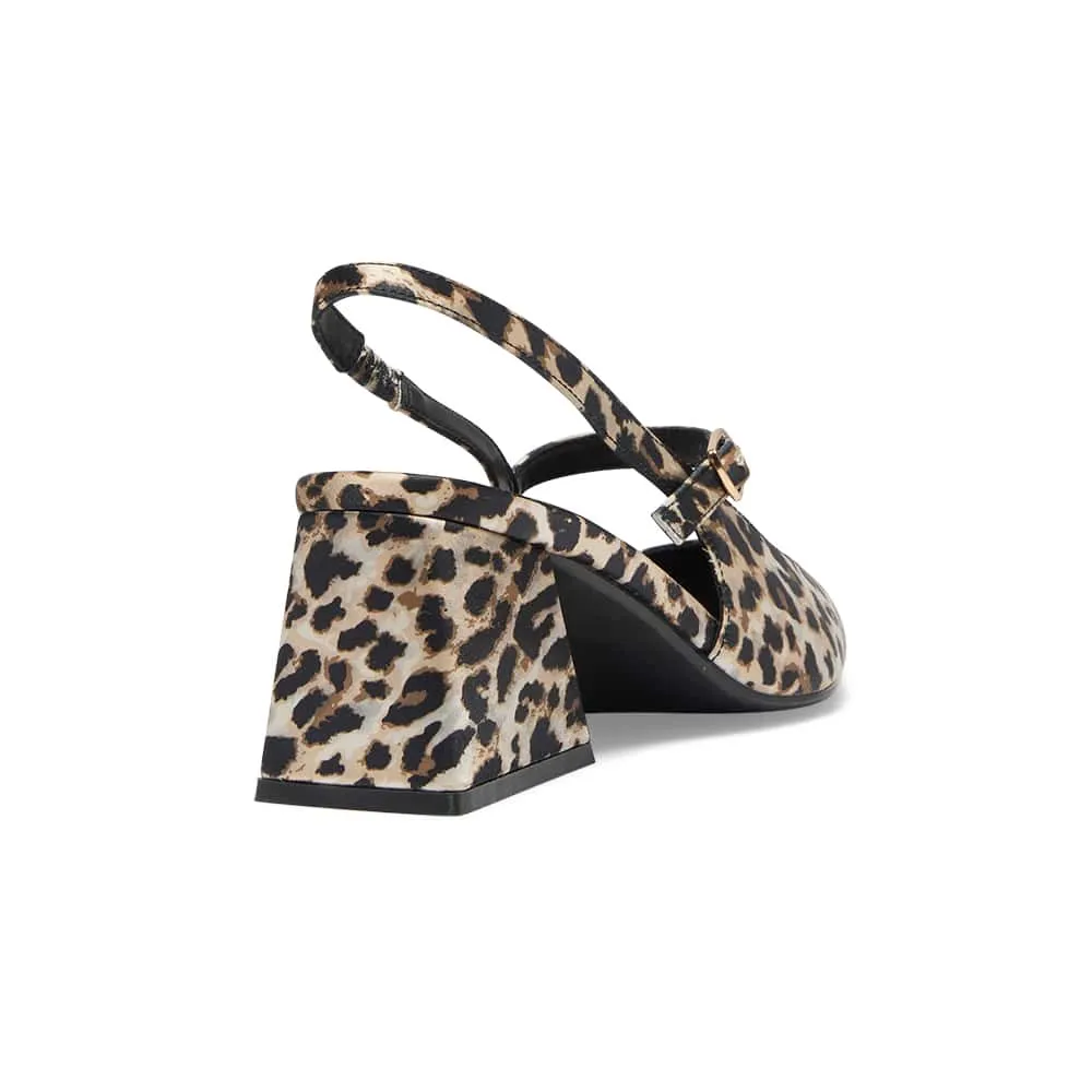 Loyal Heel in Animal