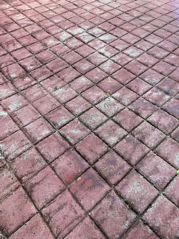 Step Safe - DIY Anti-Slip Coatings