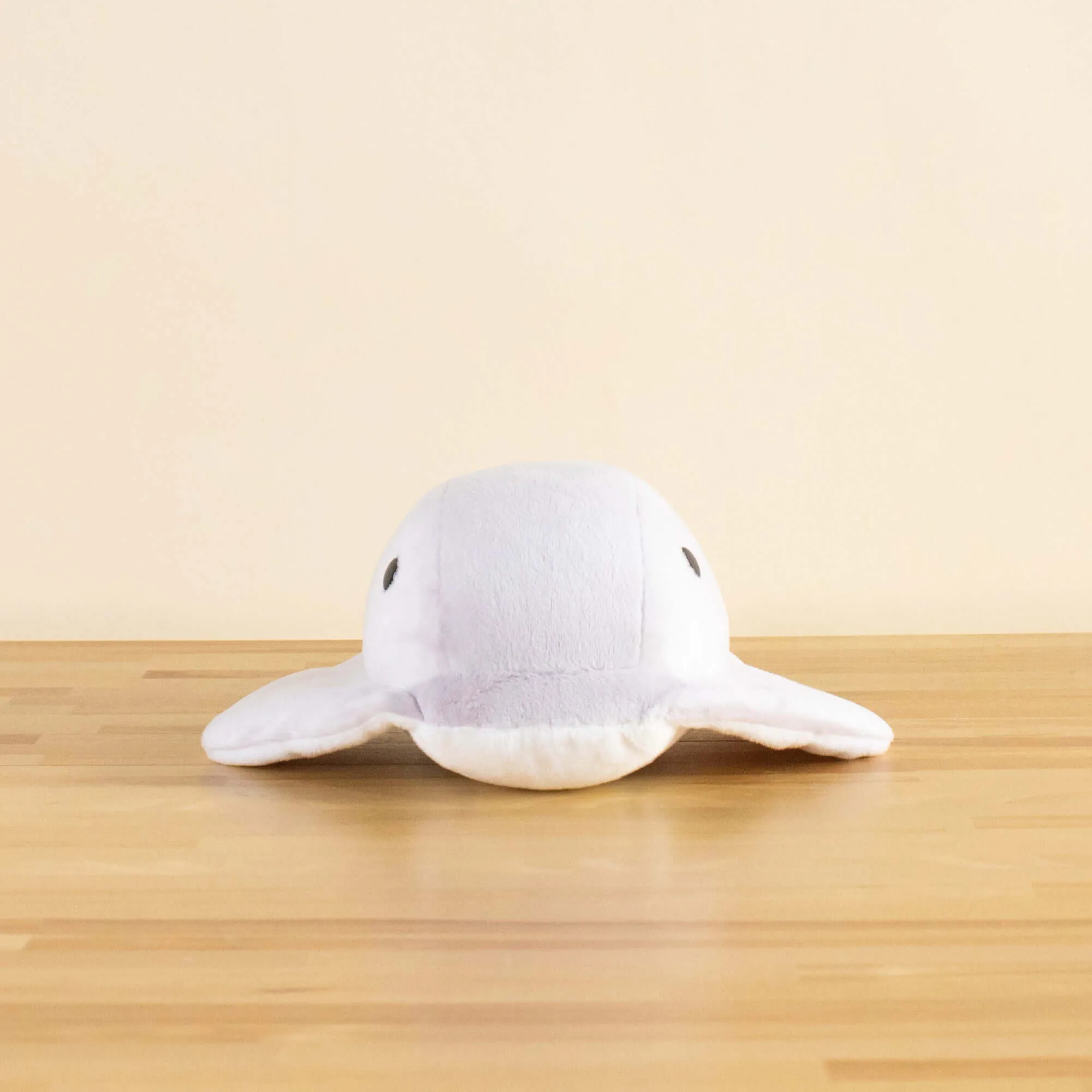 Stingi the Sting Ray