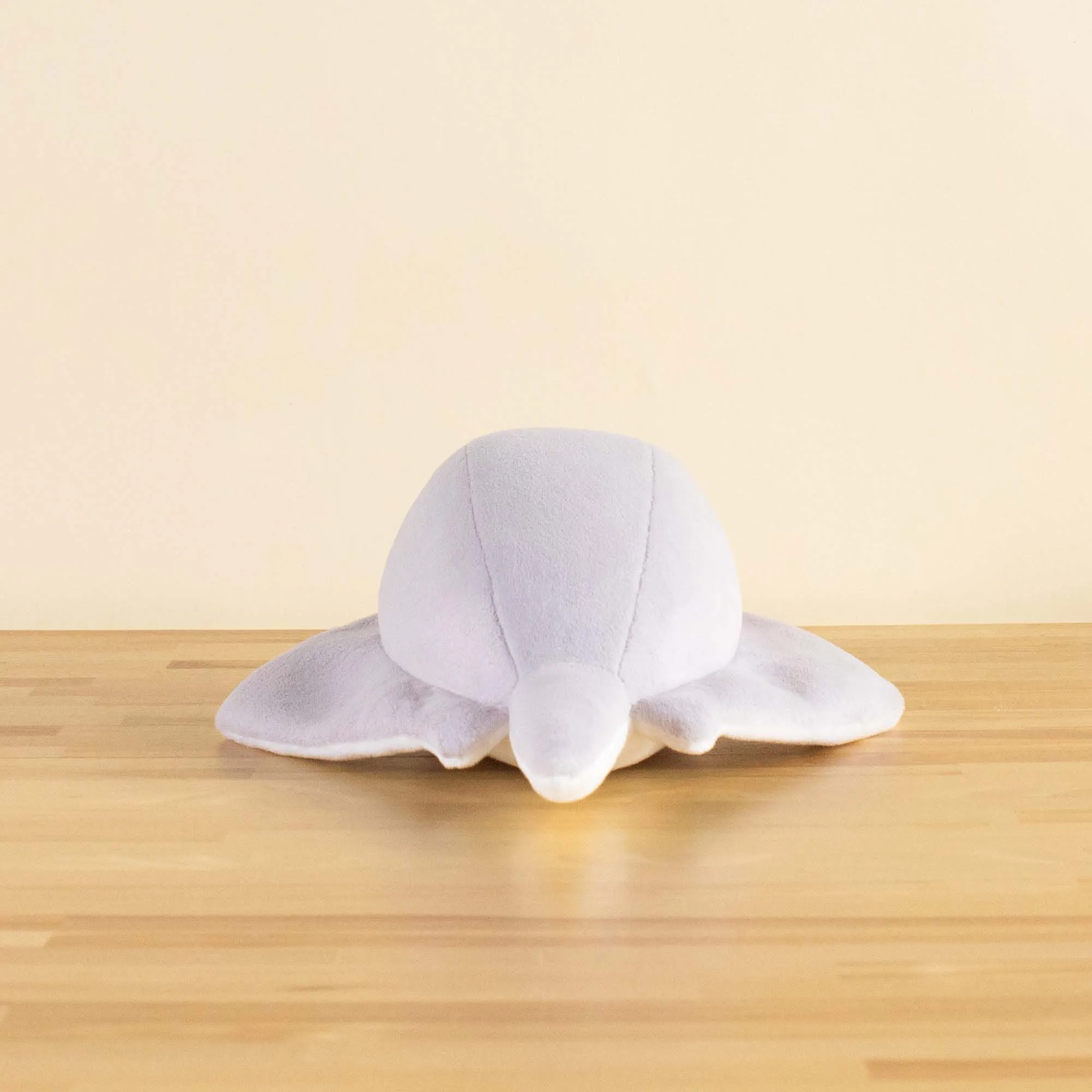 Stingi the Sting Ray